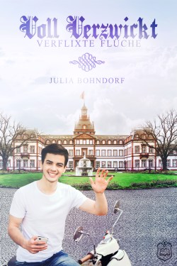 Voll Verzwickt Cover